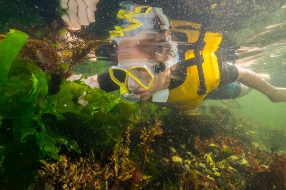 Snorkelsafari renesse