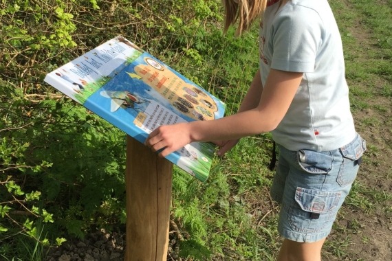 Wandelen 