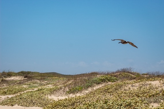 fietsroute goeree
