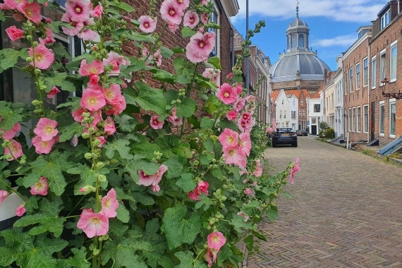 Kunst- en cultuurroute Middelburg