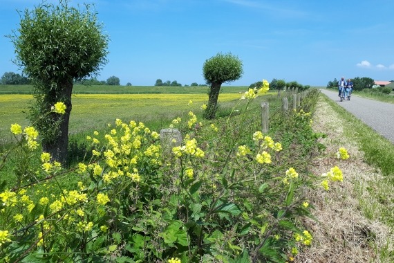 fietstocht
