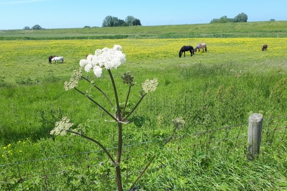 noord-beveland