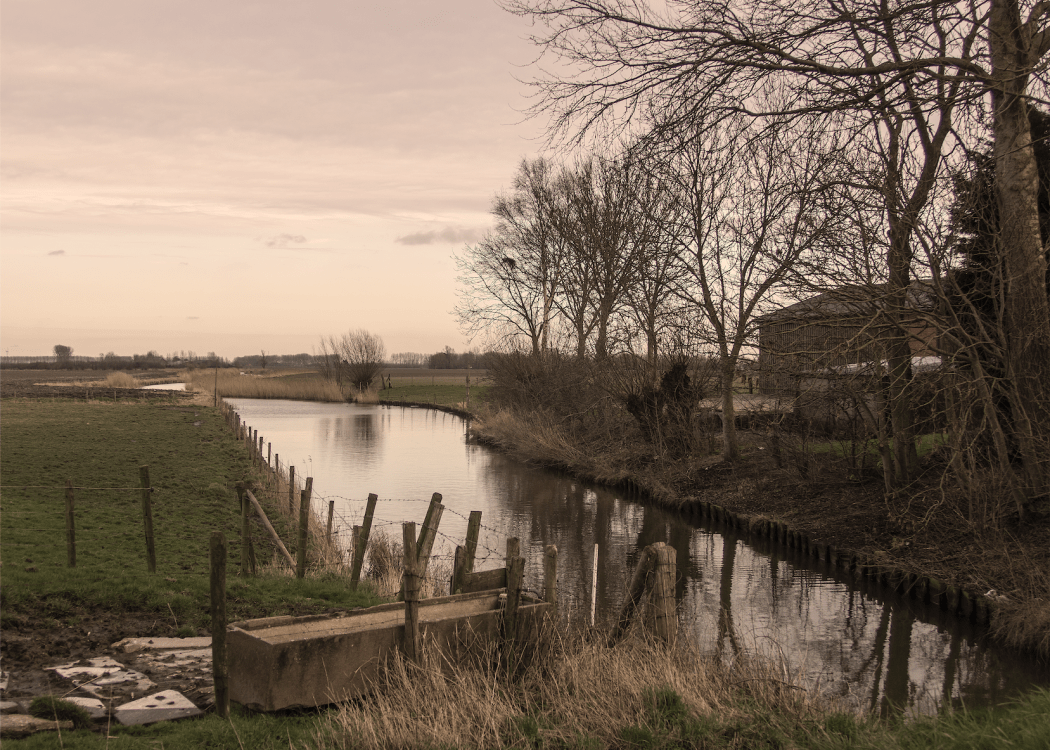 Groede